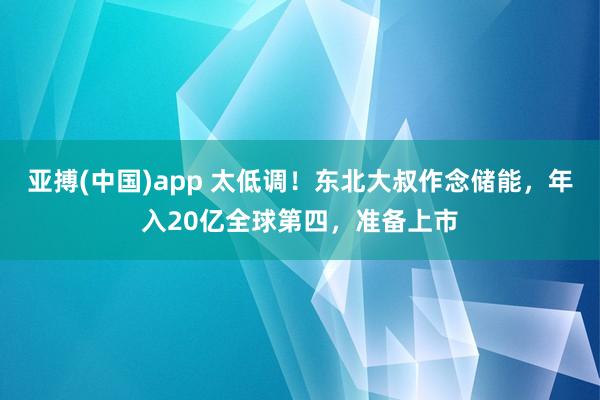 亚搏(中国)app 太低调！东北大叔作念储能，年入20亿全球第四，准备上市
