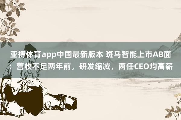 亚搏体育app中国最新版本 斑马智能上市AB面：营收不足两年前，研发缩减，两任CEO均高薪