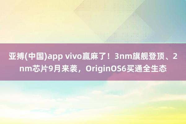亚搏(中国)app vivo赢麻了！3nm旗舰登顶、2nm芯片9月来袭，OriginOS6买通全生态