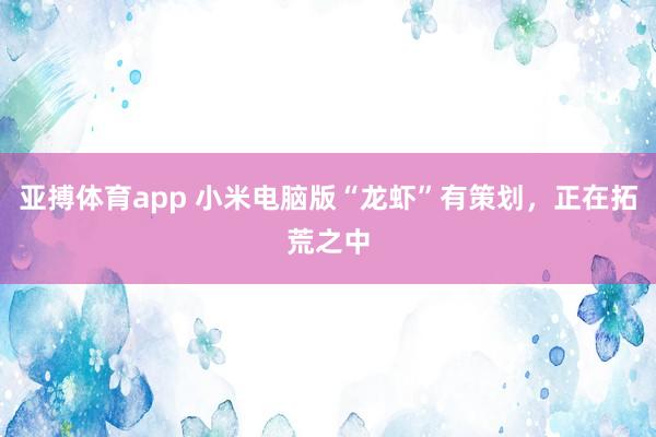 亚搏体育app 小米电脑版“龙虾”有策划，正在拓荒之中