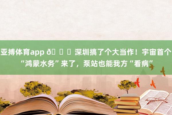 亚搏体育app 🌊深圳搞了个大当作！宇宙首个“鸿蒙水务”来了，泵站也能我方“看病”
