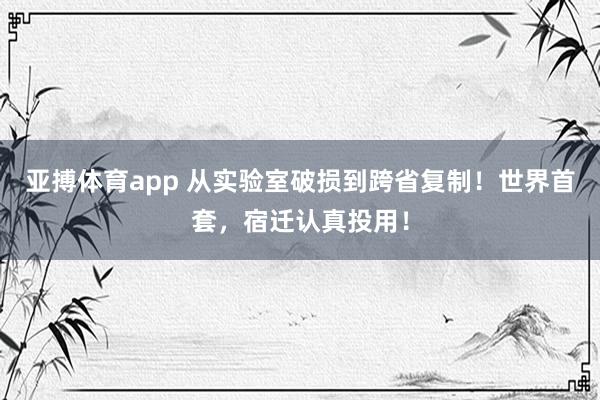 亚搏体育app 从实验室破损到跨省复制！世界首套，宿迁认真投用！
