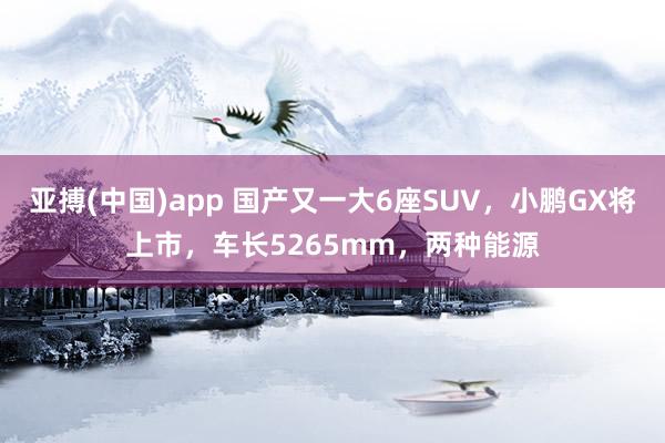亚搏(中国)app 国产又一大6座SUV，小鹏GX将上市，车长5265mm，两种能源