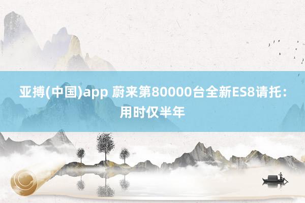 亚搏(中国)app 蔚来第80000台全新ES8请托：用时仅半年