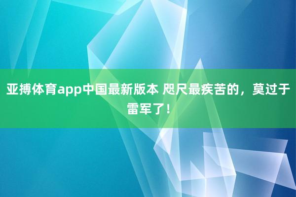 亚搏体育app中国最新版本 咫尺最疾苦的，莫过于雷军了！