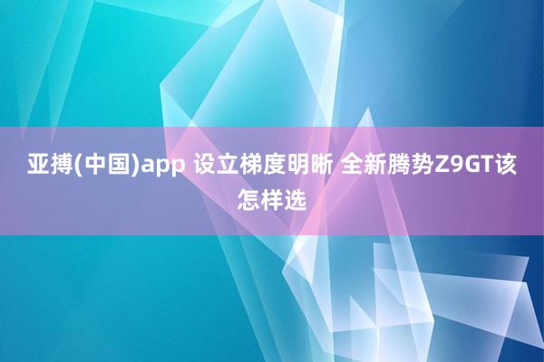 亚搏(中国)app 设立梯度明晰 全新腾势Z9GT该怎样选