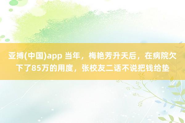 亚搏(中国)app 当年，梅艳芳升天后，在病院欠下了85万的用度，张校友二话不说把钱给垫