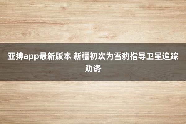 亚搏app最新版本 新疆初次为雪豹指导卫星追踪劝诱