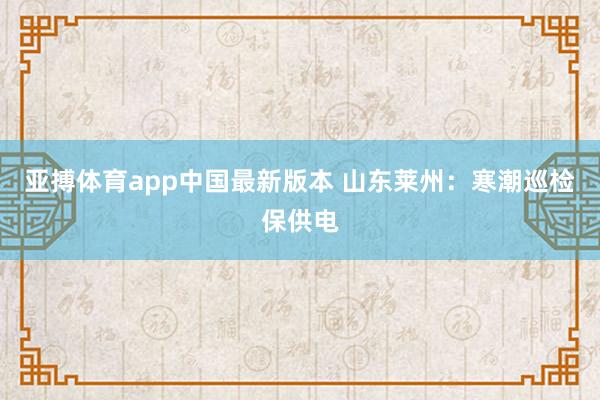 亚搏体育app中国最新版本 山东莱州：寒潮巡检保供电