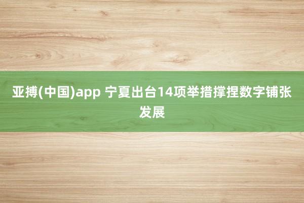 亚搏(中国)app 宁夏出台14项举措撑捏数字铺张发展