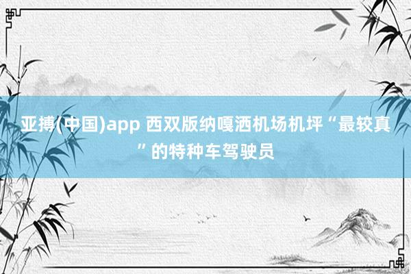 亚搏(中国)app 西双版纳嘎洒机场机坪“最较真”的特种车驾驶员