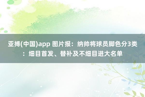 亚搏(中国)app 图片报：纳帅将球员脚色分3类：细目首发、替补及不细目进大名单