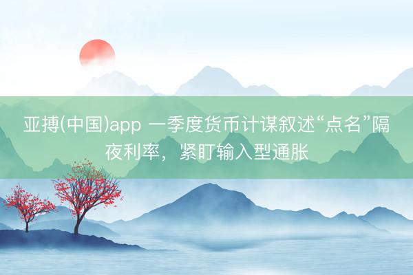 亚搏(中国)app 一季度货币计谋叙述“点名”隔夜利率，紧盯输入型通胀