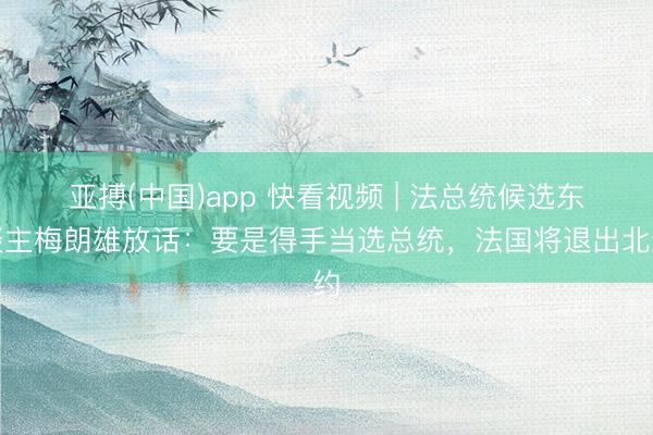 亚搏(中国)app 快看视频 | 法总统候选东谈主梅朗雄放话：要是得手当选总统，<a href=