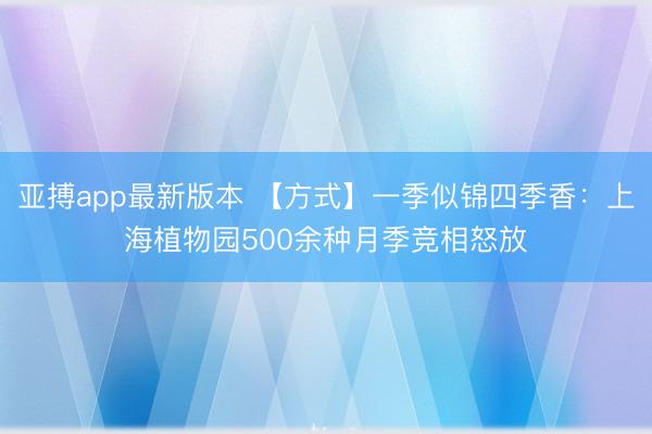 亚搏app最新版本 【方式】一季似锦四季香:上海植物园500余种月季竞相怒放