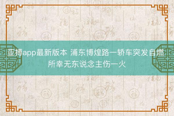 亚搏app最新版本 浦东博煌路一轿车突发自燃 所幸无东说念主伤一火