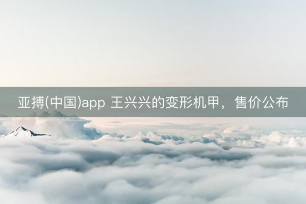 亚搏(中国)app 王兴兴的变形机甲，售价公布