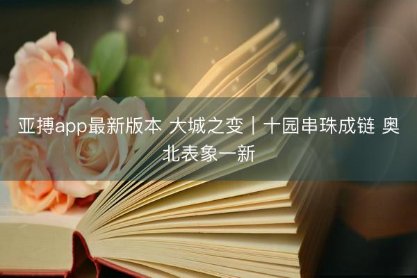 亚搏app最新版本 大城之变|十园串珠成链 奥北表象一新