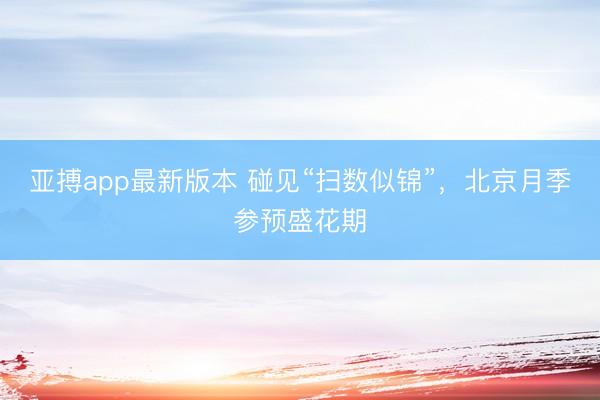 亚搏app最新版本 碰见“扫数似锦”，<a href=