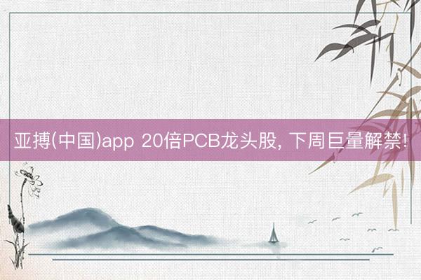亚搏(中国)app 20倍PCB龙头股， 下周巨量解禁!