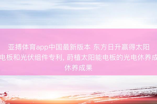亚搏体育app中国最新版本 东方日升赢得太阳能电板和光伏组件专利， 莳植太阳能电板的光电休养成果
