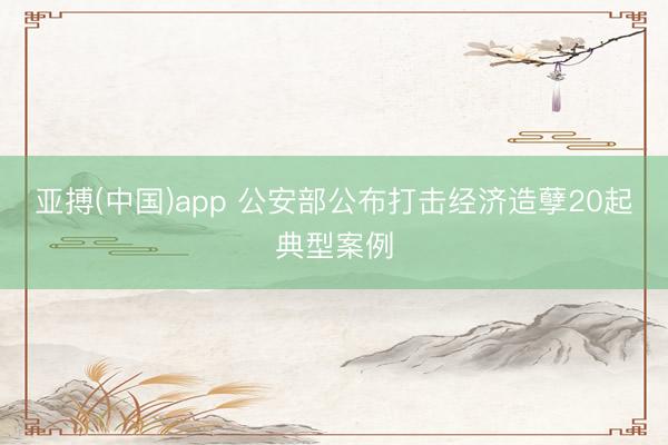 亚搏(中国)app 公安部公布打击经济造孽20起典型案例