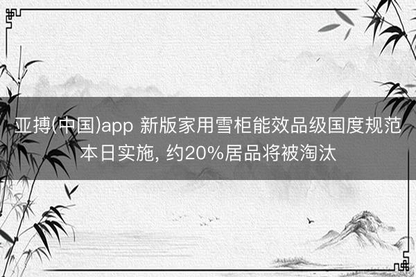亚搏(中国)app 新版家用雪柜能效品级国度规范本日实施， 约20%居品将被淘汰