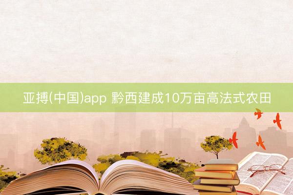 亚搏(中国)app 黔西建成10万亩高法式农田