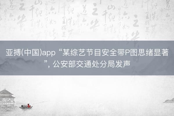 亚搏(中国)app “某综艺节目安全带P图思绪显著”， 公安部交通处分局发声