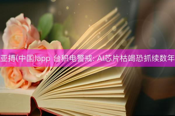 亚搏(中国)app 台积电警戒: AI芯片枯竭恐抓续数年