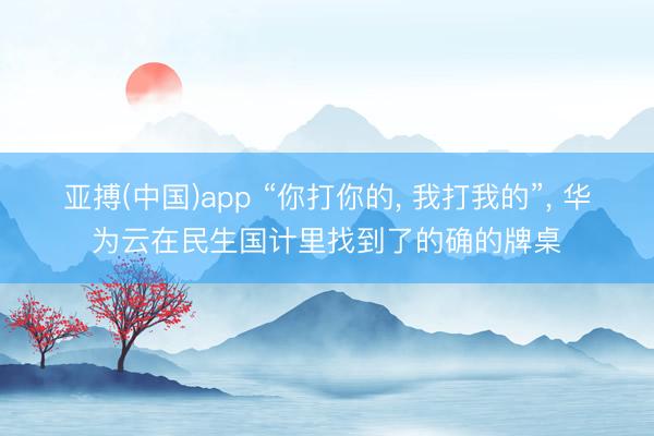 亚搏(中国)app “你打你的， 我打我的”， 华为云在民生国计里找到了的确的牌桌