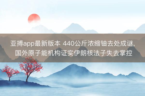 亚搏app最新版本 440公斤浓缩铀去处成谜， 国外原子能机构证实伊朗核法子失去掌控