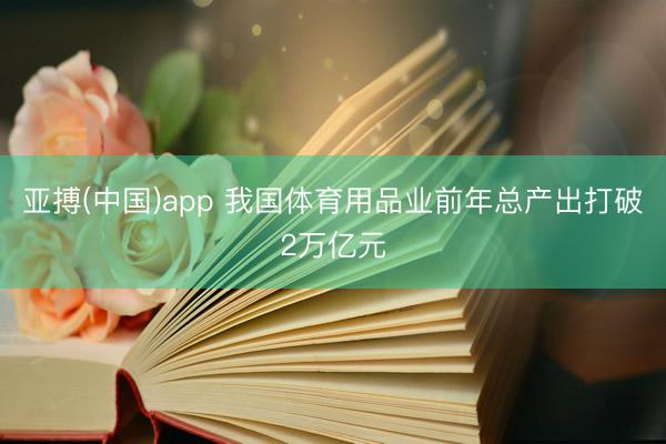 亚搏(中国)app 我国体育用品业前年总产出打破2万亿元
