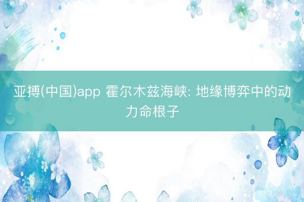 亚搏(中国)app 霍尔木兹海峡: 地缘博弈中的动力命根子