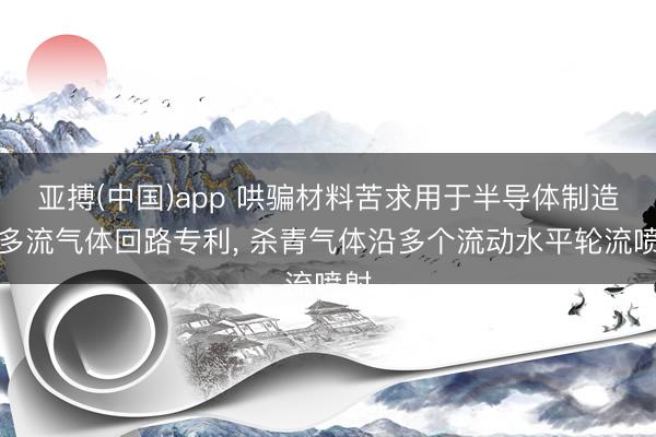 亚搏(中国)app 哄骗材料苦求用于半导体制造的多流气体回路专利， 杀青气体沿多个流动水平轮流喷射